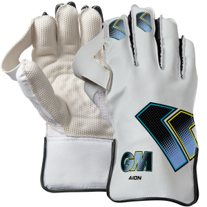 GM  -  Aion  WK  Gloves