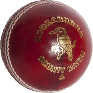 Kookaburra - County Match